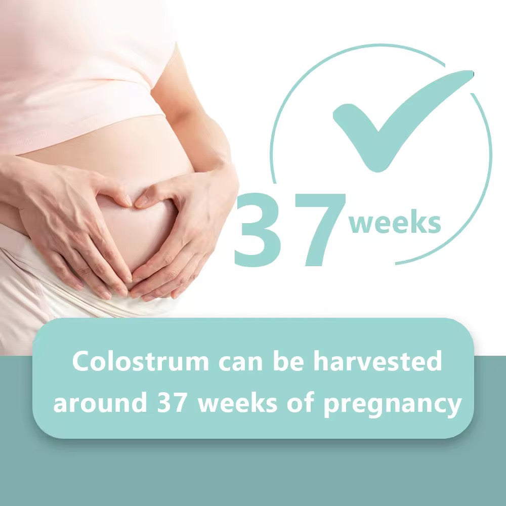 Colostrum Collectors (pack of 6)